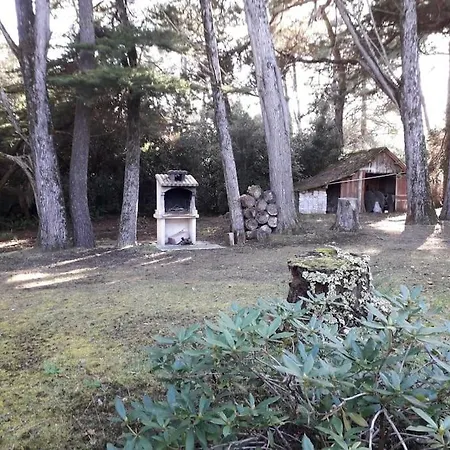 Proche Centre-ville - 8182 Soulac-sur-Mer